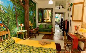 Majikal BnB Casa de los Xolos - La Selva